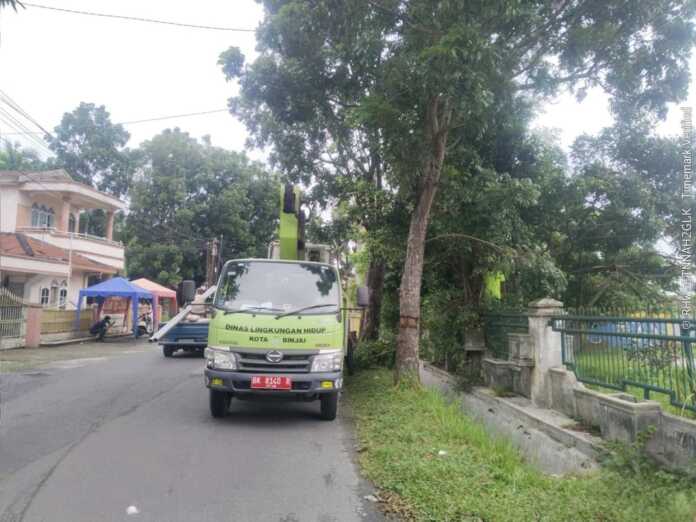 PANGKAS POHON: Petugas dari DLH Binjai saat memangkas ranting pohon yang membahayakan pengendara.(Istimewa)
