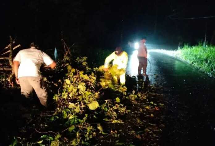 BERSIHKAN: Polisi dibantu warga membersihkan kayu yang roboh menutup jalan