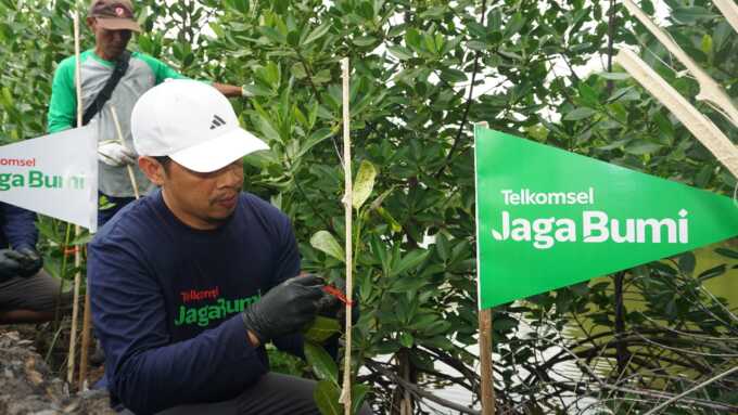 Dorong Pengurangan Emisi Karbon, Telkomsel Tanam 2.000 Bibit Mangrove di Kota Langsa