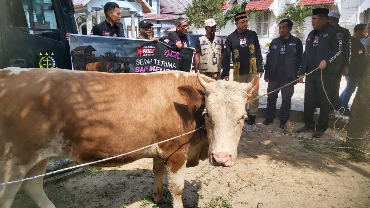 Gelar Isra Mikraj di Batu Sumbang, AQL Laznas Peduli Serahkan 7 Ekor Sapi untuk Meugang Puasa ke Bupati Aceh Timur