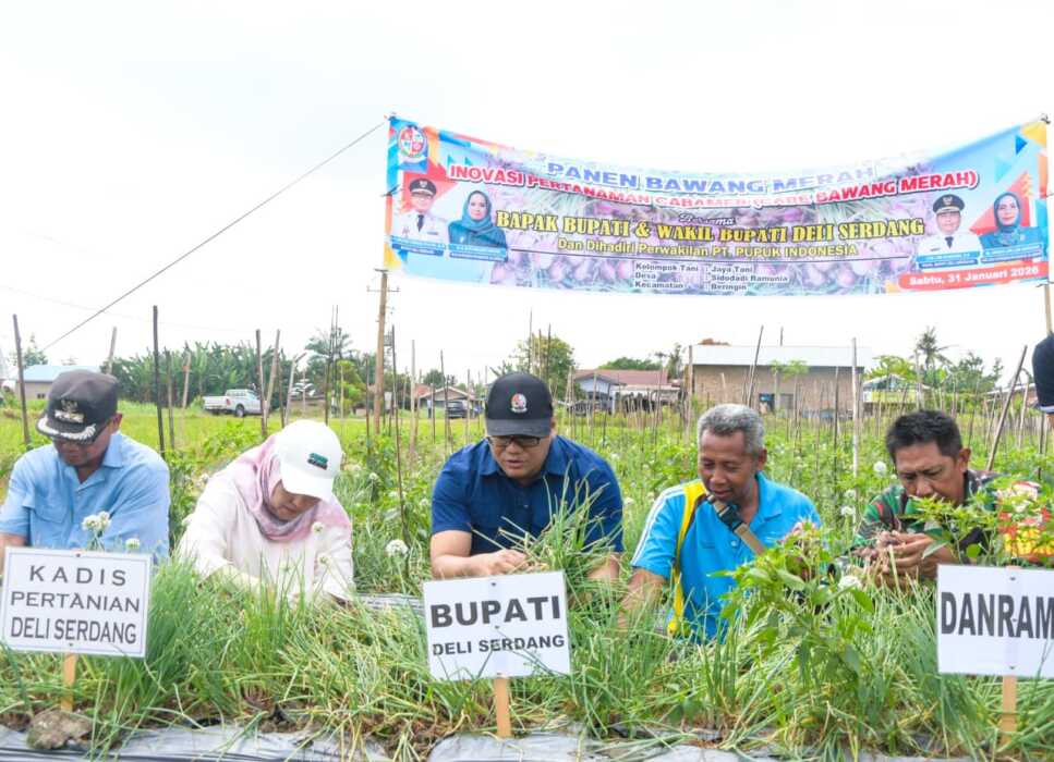 TINJAU: Bupati Deliserdang, dr H Asri Ludin Tambunan ketika meninjau saluran irigasi di lahan pertanian milik Poktan Jaya Tani di Dusun Madiun, Desa Sidodadi Ramunia, Kecamatan Beringin, Sabtu (31/1).