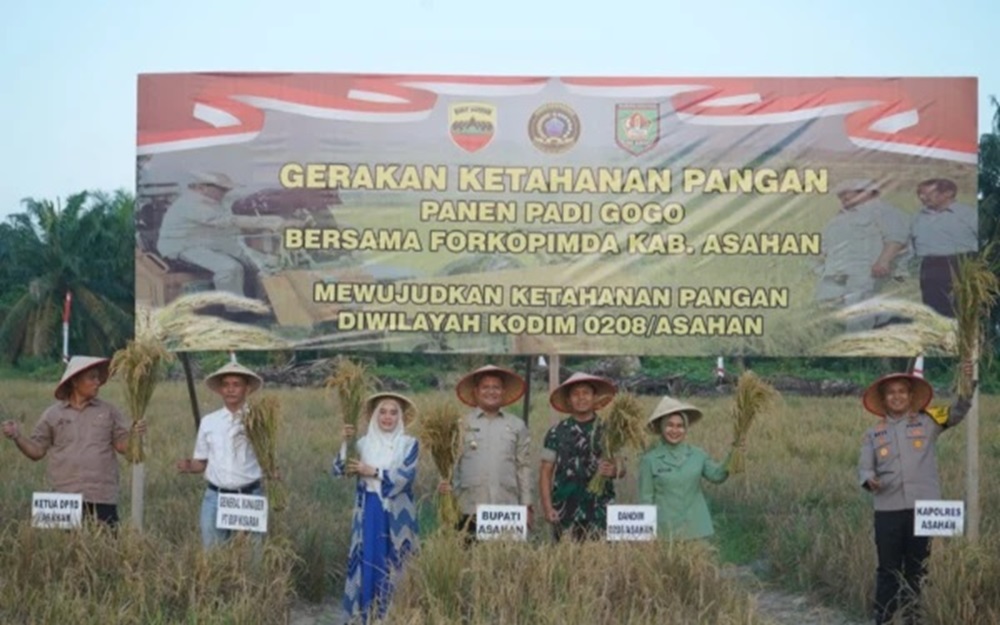 PANEN RAYA: Wakil Bupati Asahan Rianto saat menggelar Panen Raya Padi Gogo bersama Kodim 0208/As, Sabtu (14/3).