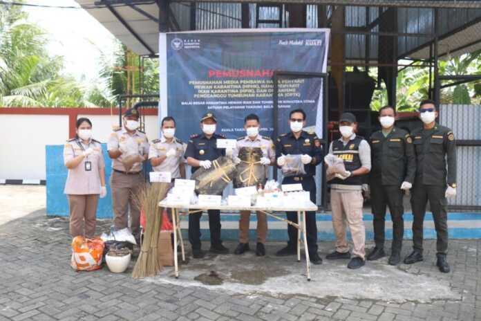MUSNAHKAN: Karantina Sumut memusnahkan 1.984 lembar kulit biawak yang tidak dilengkapi dokumen kesehatan dan tidak dilaporkan kepada Pejabat Karantina, Rabu (22/04).(Foto: Badan Karantina Indonesia). MUSNAHKAN: Karantina Sumut memusnahkan 1.984 lembar kulit biawak yang tidak dilengkapi dokumen kesehatan dan tidak dilaporkan kepada Pejabat Karantina, Rabu (22/04).(Foto: Badan Karantina Indonesia).