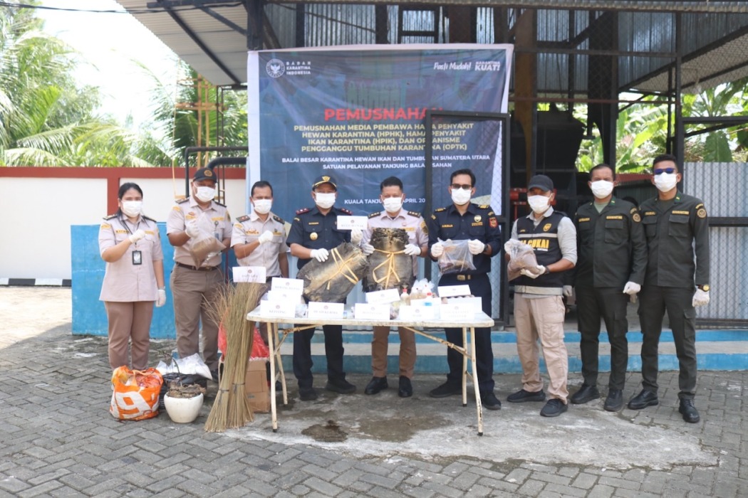 MUSNAHKAN: Karantina Sumut memusnahkan 1.984 lembar kulit biawak yang tidak dilengkapi dokumen kesehatan dan tidak dilaporkan kepada Pejabat Karantina, Rabu (22/04).(Foto: Badan Karantina Indonesia).