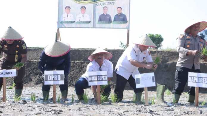 TANAM PADI: Wabup Dairi Wahyu Daniel Sagala, GM Regional I Sumut PT Pupuk Indonesia Beni Parlo, Sekda, Surung Charles Lamhot Bantjin dan lainya, saat tanam padi bersama di Desa Lumban Toruan, Rabu (22/4).(istimewa).