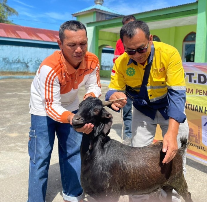 HEWAN KURBAN: PT DPM menyalurkan 10 ekor hewan qurban pada peringatan Hari Raya Idul Adha tahun 2026. (RUDY SITANGGANG/SUMUT POS).