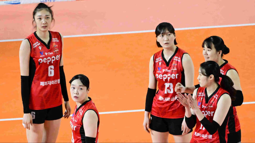 LIGA KOREA: Tim AI Peppers di Liga Voli Korea