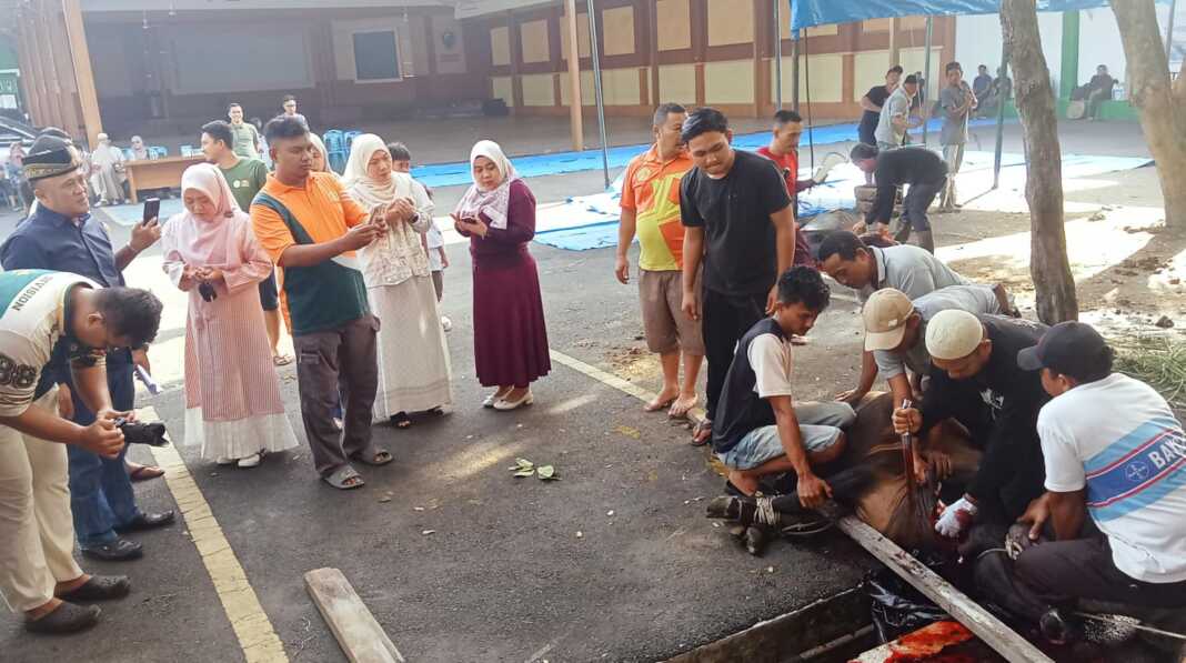 KURBAN: Prof. Dr. Samsul Bahri, M.Si (kiri) menyaksikan penyembelihan kurban di UMN Al-Washliyah, Kamis (28/5). (Deddi Mulia Purba/Sumut Pos)
