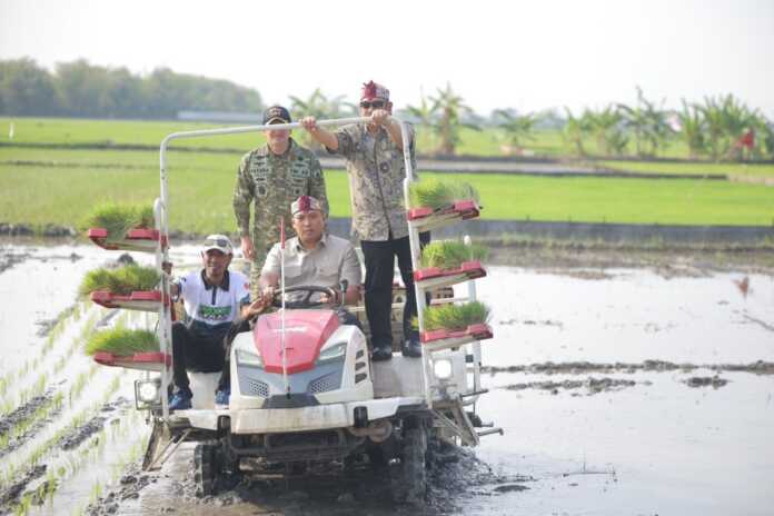 Wakil Menteri Pertanian (Wamentan) Sudaryono kebut Gerakan Tanam (Gertam) padi seluas 750 hektar di Kabupaten Lamongan. (foto : Kementan)