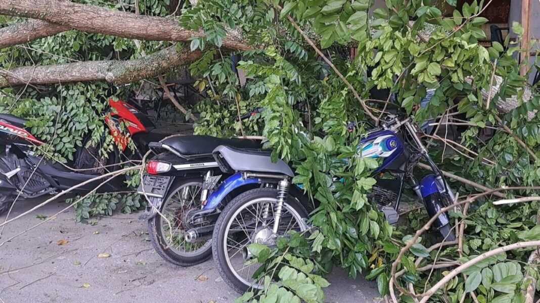 SEPEDA MOTOR RUSAK: Kondisi sejumlah sepeda motor yang mengalami kerusakan akibat tertimpa batang dan ranting pohon senna di Jalan Ahmad Yani, Kota Tebingtinggi, Sabtu (13/6). (Azan purba / sumutpos).