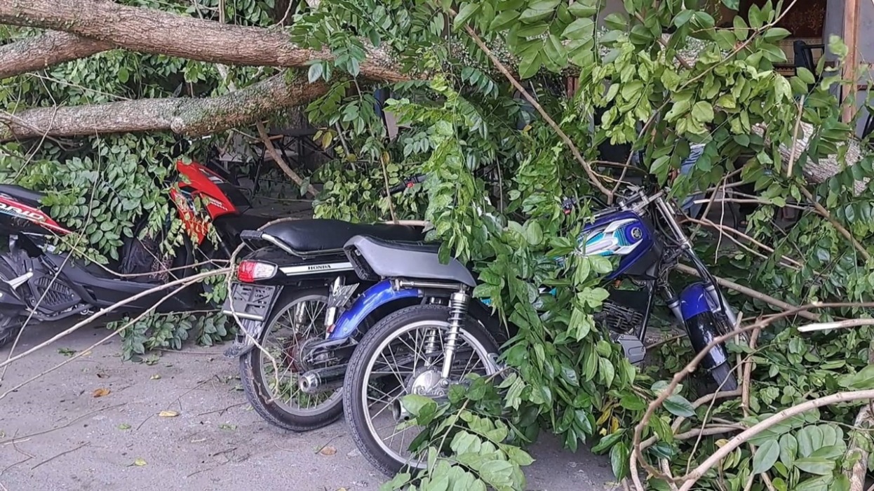Pohon Patah Timpa Belasan Sepeda Motor
