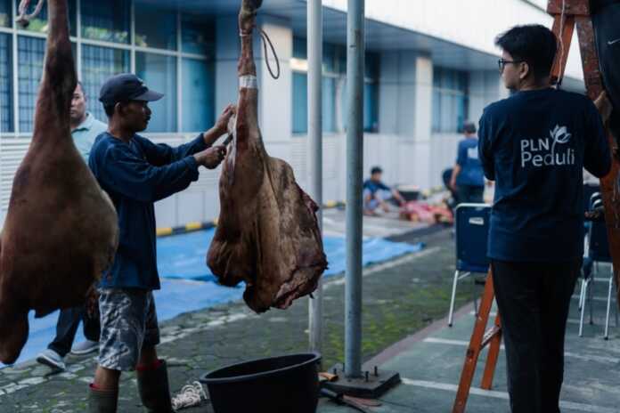 Hewan Kurban KURBAN: PLN UIP SBU melaksanakan kegiatan pemotongan hewan kurban, Jumat (29/5/2026).