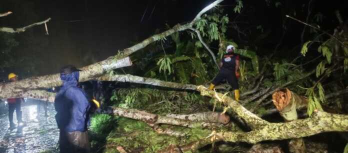 POHON TUMBANG: BPBD bersama Dinas Lingkungan Hidup (DLH), dan tim gabungan, bergotong royong memotong batang pohon yang tumbang serta membersihkan material yang menutupi badan jalan. (Dok : BPBD Sumut) POHON TUMBANG: BPBD bersama Dinas Lingkungan Hidup (DLH), dan tim gabungan, bergotong royong memotong batang pohon yang tumbang serta membersihkan material yang menutupi badan jalan. (Dok : BPBD Sumut)