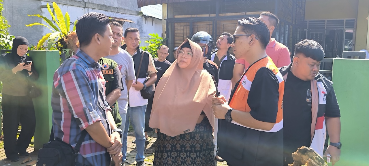 Wawako Binjai Tinjau Pedagang Korban Pohon Tumbang, Minta DLH Remajakan Pohon Tua