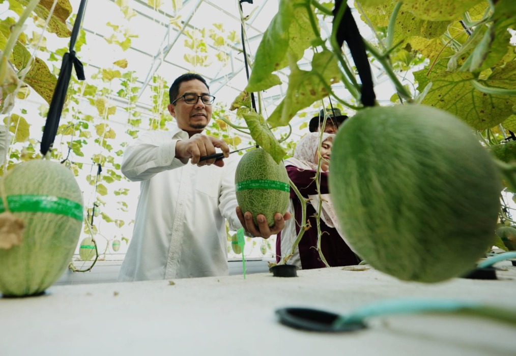 Fakultas Pertanian UMSU Dorong Pengembangan Greenhouse Sebagai Inovasi Pertanian Modern