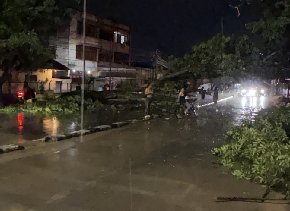 HUJAN DERAS: Susana hujan deras yang menumbangkan pohon di salah satu ruas jalan.
