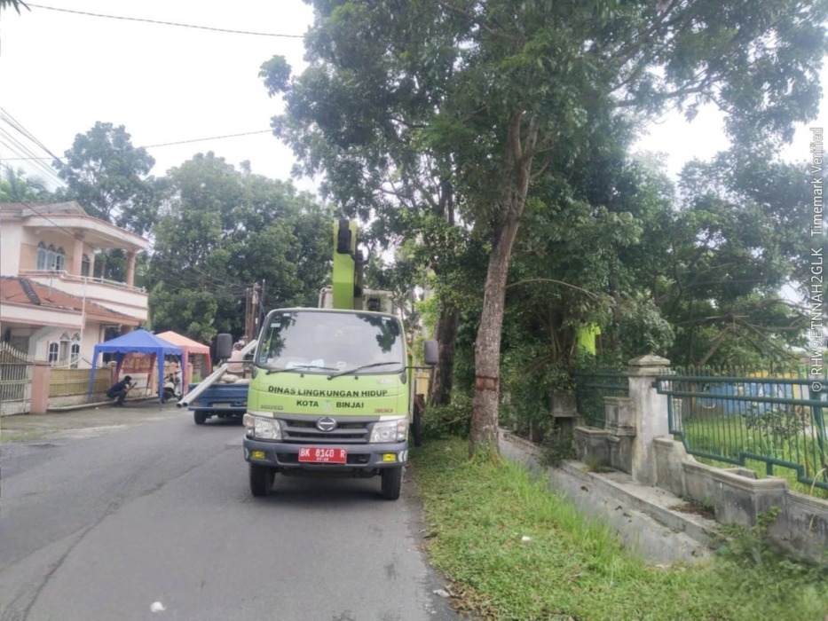 PANGKAS POHON: Tim mitigasi saat melakukan pemangkasan pohon sebagai langkah antisipasi ketika cuaca buruk. (DLH Binjai/Sumut Pos)