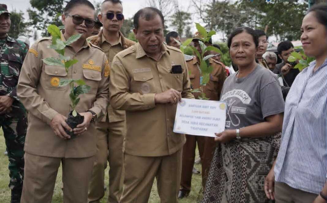 KOPI: Bupati menyalurkan bibi kopi bantuan Kementan  ke kelompok tani