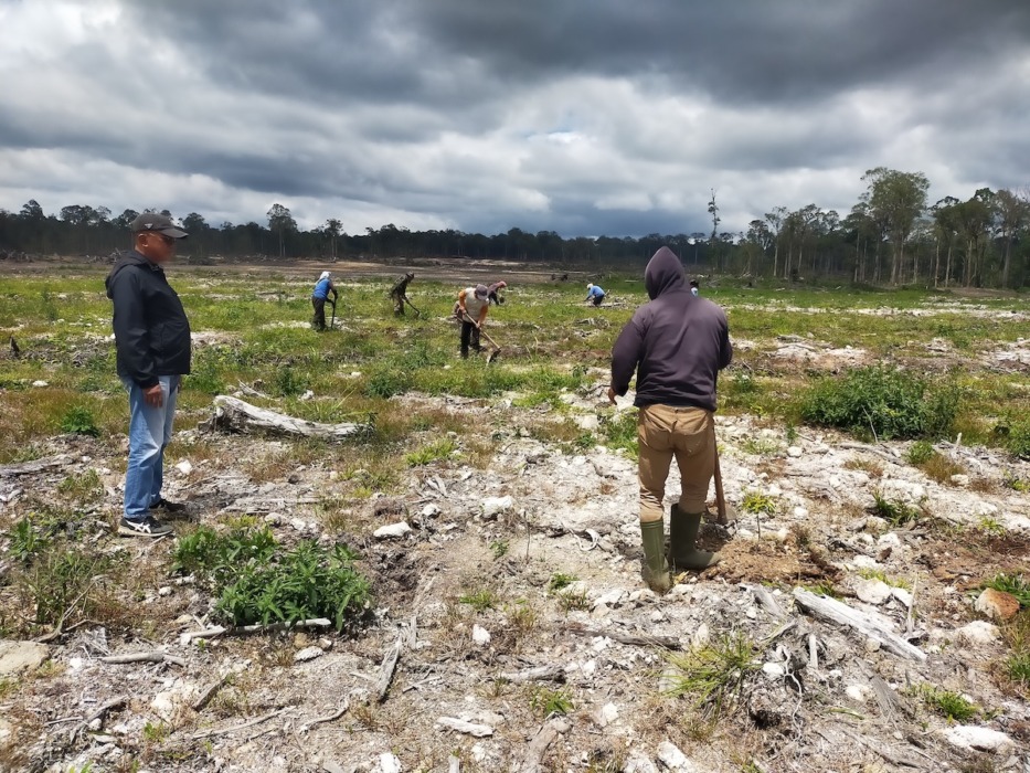 Sidang PT GRUTI Hadirkan Fakta Baru, BWS Sumatera I Nyatakan Tak Ada Sungai di Lokasi Perkara