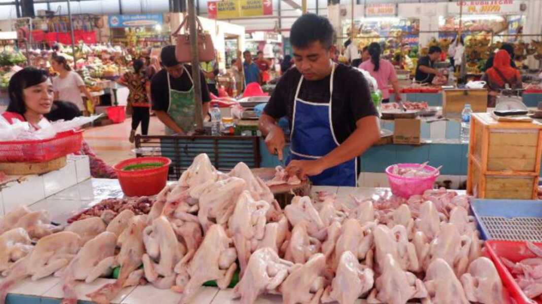 PEDAGANG AYAM: Aktivitas pedagang ayam potong di pasar tradisional di Medan, beberapa waktu lalu.