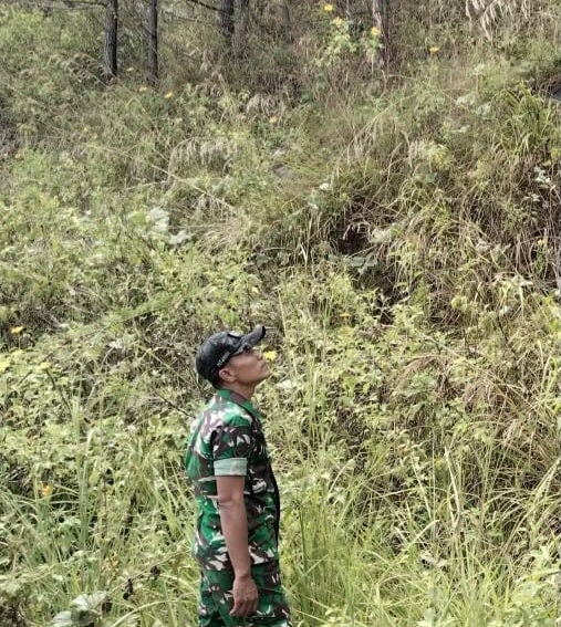 PATROLI HUTAN: TNI saat patroli hutan hingga lahan warga, di Toba dan Samosir, Sabtu (12/9). Istimewa/Sumut Pos