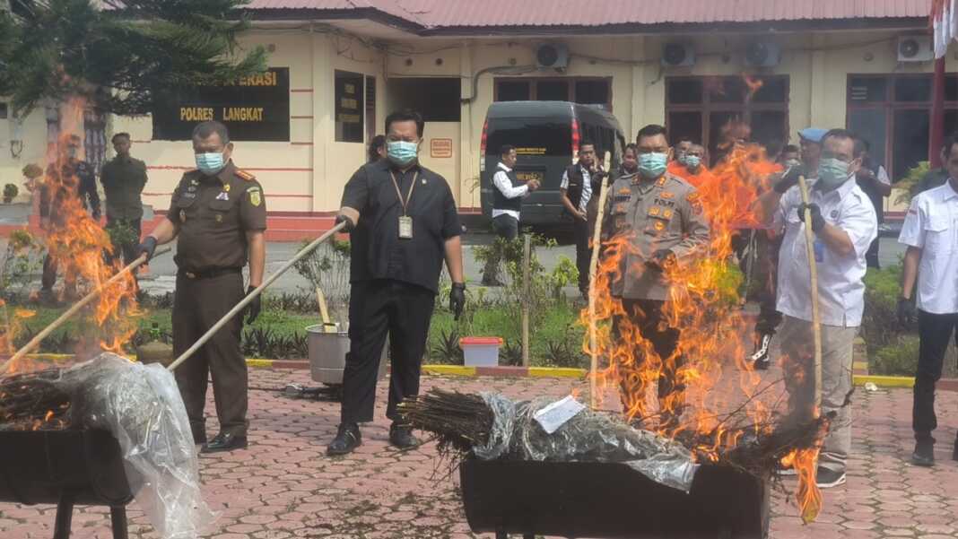 Kapolres Langkat AKBP Hannry PH Tambunan saat memusnahkan barang bukti ganja dengan cara dibakar.(Teddy Akbari/Sumut Pos)