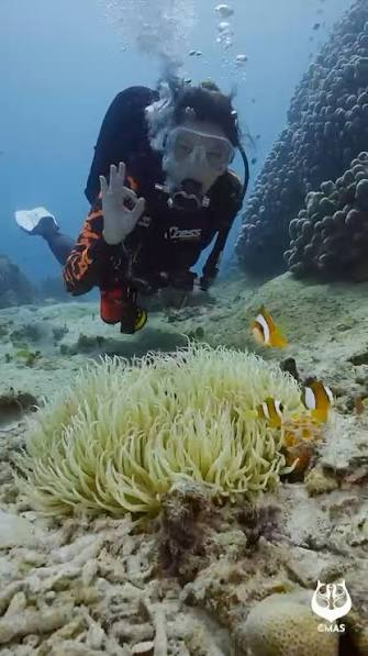 Tim Indonesia meraih satu medali emas dalam akuatik Kejuaraan Dunia Fotografi dan Videografi Bawah Laut bertajuk 2026 CMAS World Championship Underwater Photo and Video yang berlangsung di Buleleng, Bali, Minggu (11/10).