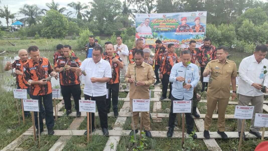 Majelis Pimpinan Wilayah (MPW) Pemuda Pancasila Sumatera Utara menargetkan penanaman 100.000 pohon pelindung di seluruh kabupaten/kota di Sumatera Utara.(Dok : Ihsan Syahreza).