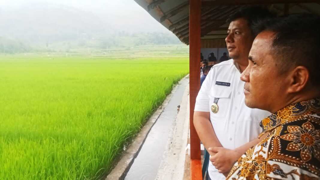 AGROWISATA SAWAH: Bupati Samosir Vandiko Timotius Gultom, S.T (kiri) dan Leonardo AA Teguh Sambodo, M.S, Ph.D menikmati keindahan alam Agrowisata Sawah Kenegerian Limbong di Pulau Samosir. (Deddi Mulia Purba/Sumut Pos)